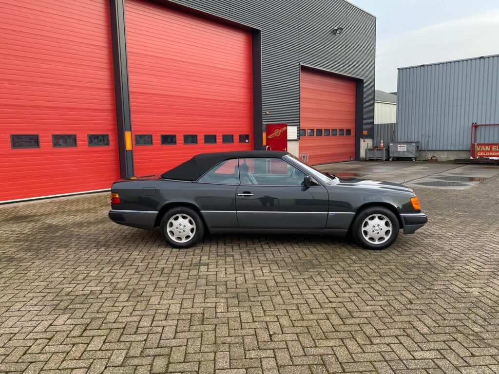 WhatsApp Image 2025-06-11 at 07.30.31 (3)