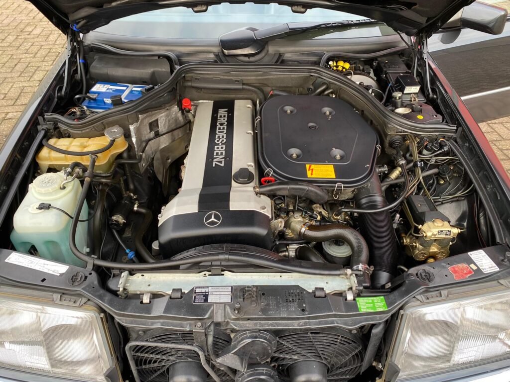 WhatsApp Image 2025-06-11 at 07.30.32 (3)