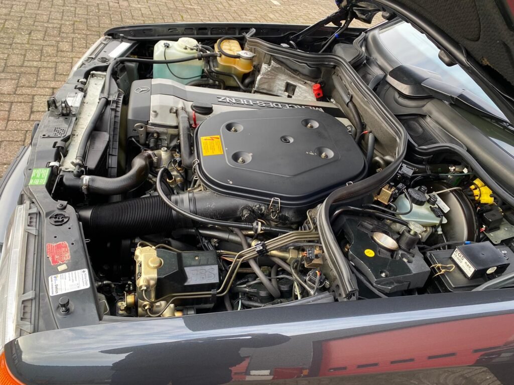 WhatsApp Image 2025-06-11 at 07.30.32 (4)